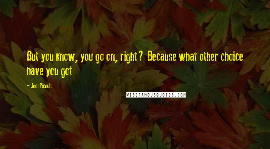 Jodi Picoult Quotes: But you know, you go on, right? Because what other choice have you got