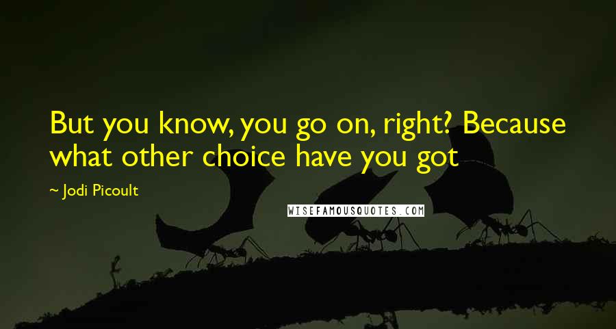 Jodi Picoult Quotes: But you know, you go on, right? Because what other choice have you got