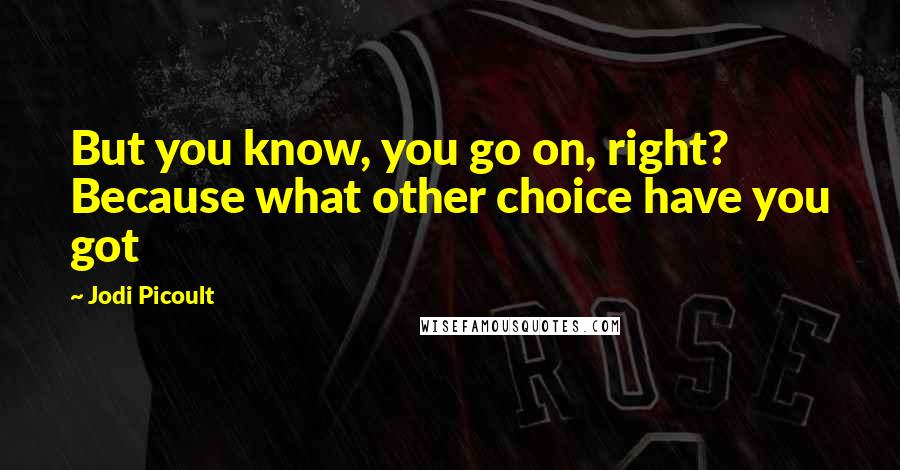 Jodi Picoult Quotes: But you know, you go on, right? Because what other choice have you got