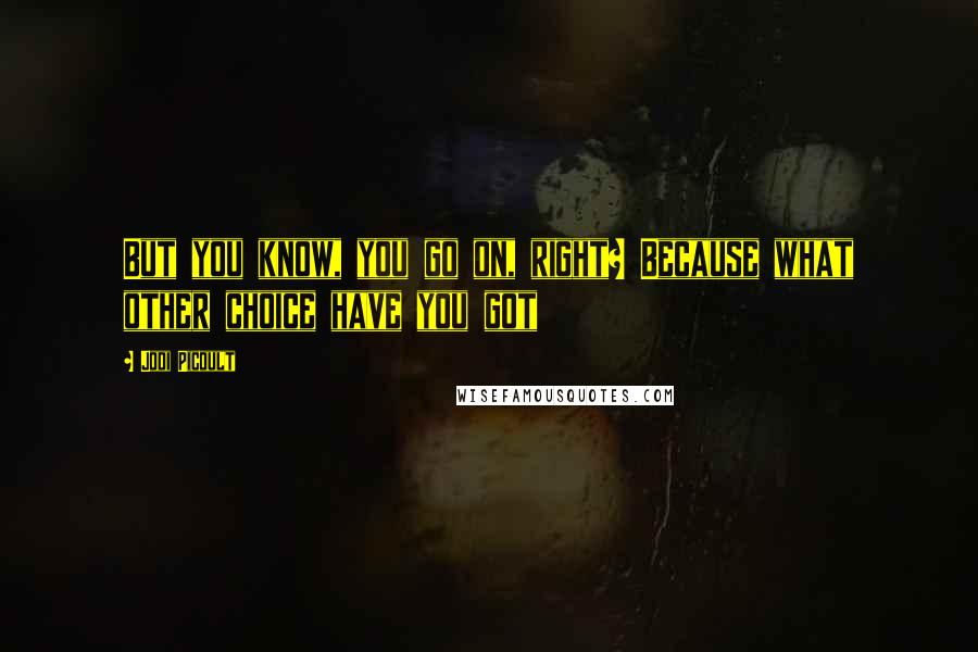 Jodi Picoult Quotes: But you know, you go on, right? Because what other choice have you got