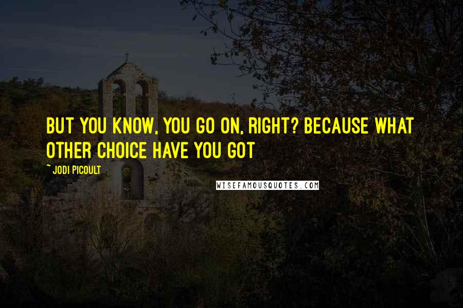 Jodi Picoult Quotes: But you know, you go on, right? Because what other choice have you got