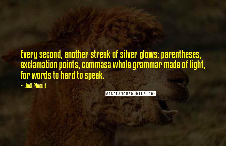Jodi Picoult Quotes: Every second, another streak of silver glows: parentheses, exclamation points, commasa whole grammar made of light, for words to hard to speak.