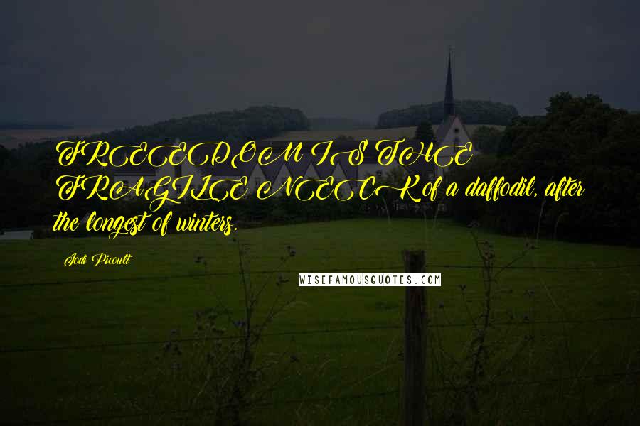 Jodi Picoult Quotes: FREEDOM IS THE FRAGILE NECK of a daffodil, after the longest of winters.
