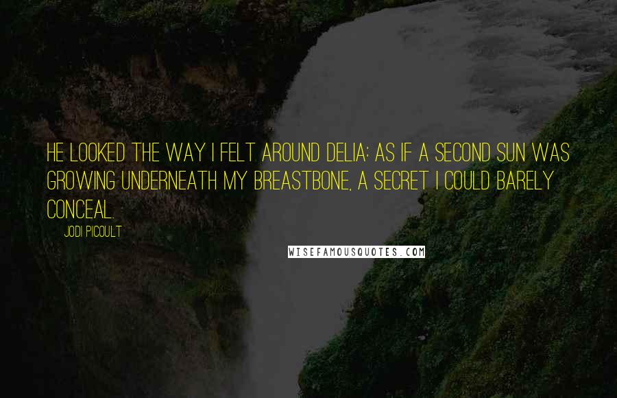 Jodi Picoult Quotes: He looked the way I felt around Delia: as if a second sun was growing underneath my breastbone, a secret I could barely conceal.