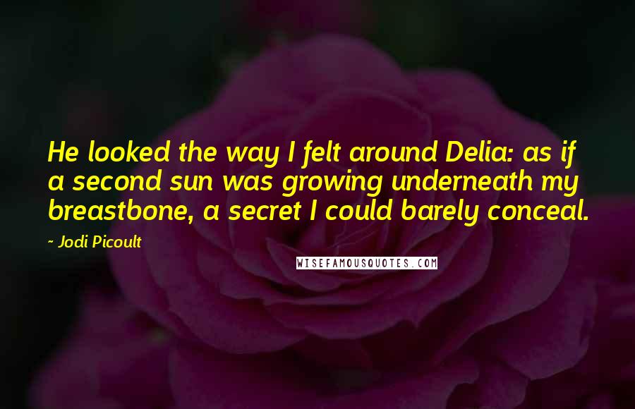 Jodi Picoult Quotes: He looked the way I felt around Delia: as if a second sun was growing underneath my breastbone, a secret I could barely conceal.