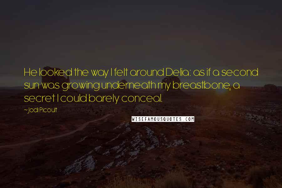 Jodi Picoult Quotes: He looked the way I felt around Delia: as if a second sun was growing underneath my breastbone, a secret I could barely conceal.