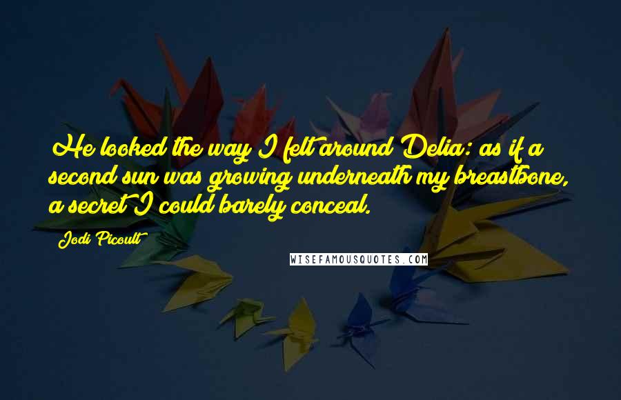 Jodi Picoult Quotes: He looked the way I felt around Delia: as if a second sun was growing underneath my breastbone, a secret I could barely conceal.