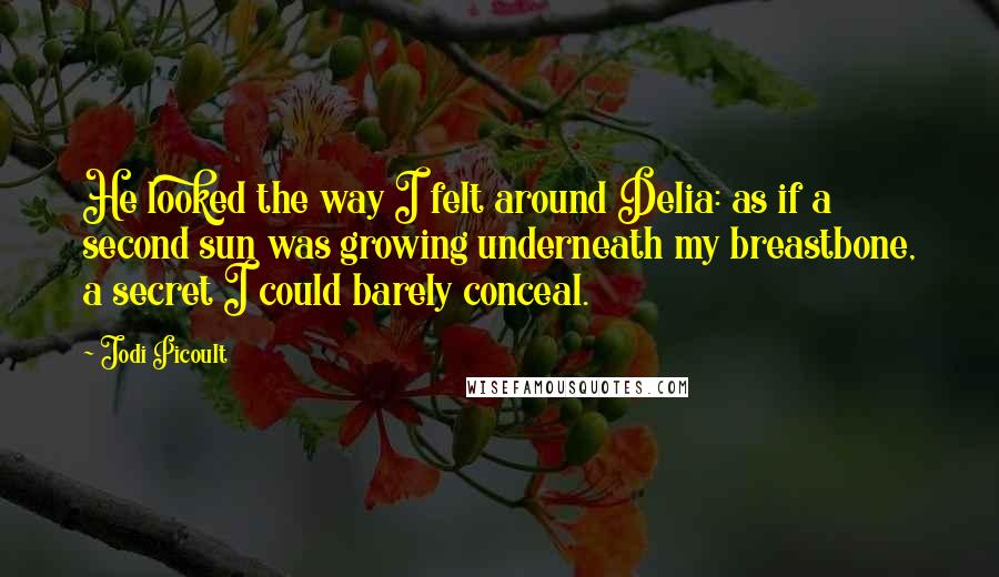 Jodi Picoult Quotes: He looked the way I felt around Delia: as if a second sun was growing underneath my breastbone, a secret I could barely conceal.