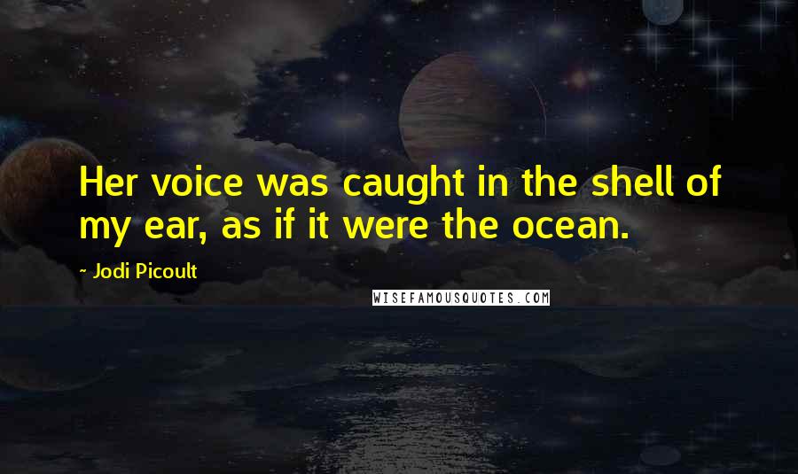 Jodi Picoult Quotes: Her voice was caught in the shell of my ear, as if it were the ocean.