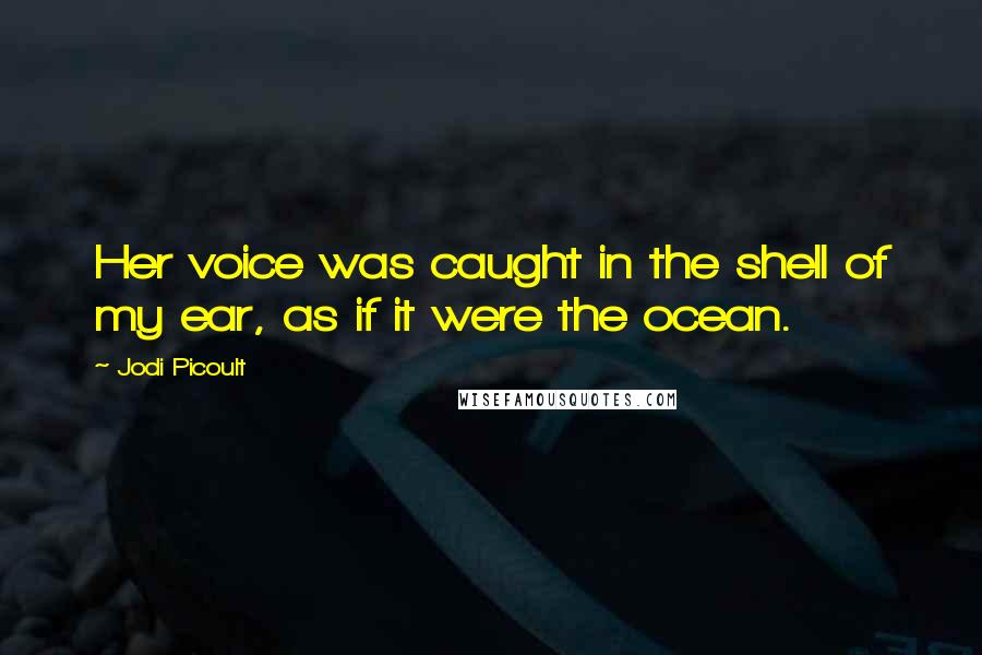 Jodi Picoult Quotes: Her voice was caught in the shell of my ear, as if it were the ocean.