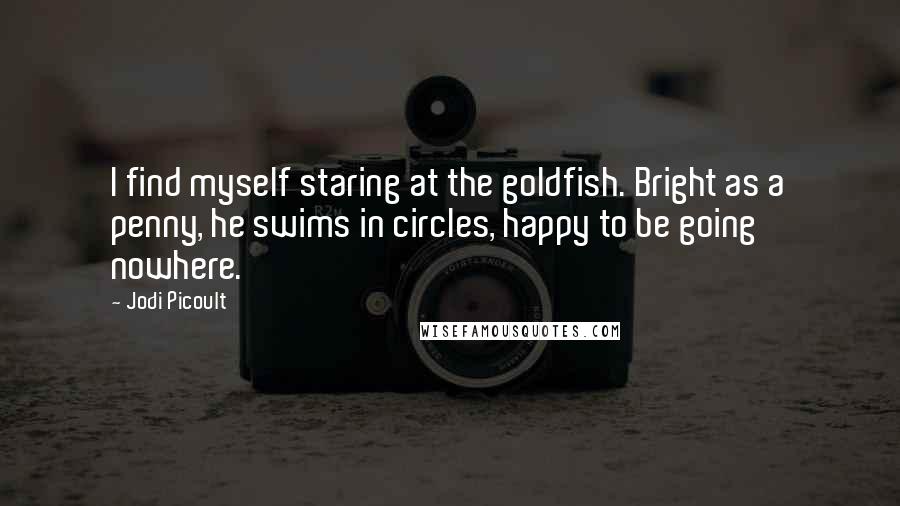 Jodi Picoult Quotes: I find myself staring at the goldfish. Bright as a penny, he swims in circles, happy to be going nowhere.