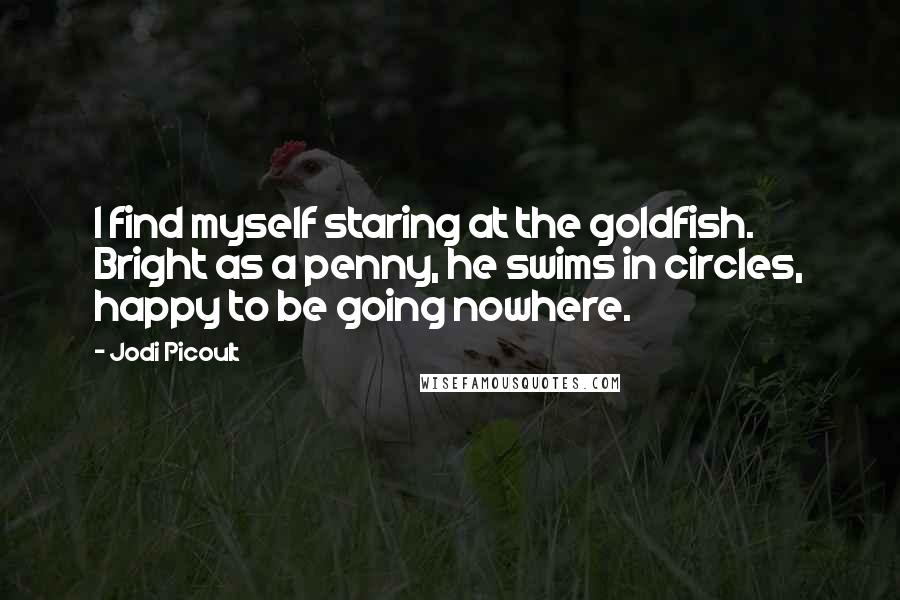 Jodi Picoult Quotes: I find myself staring at the goldfish. Bright as a penny, he swims in circles, happy to be going nowhere.