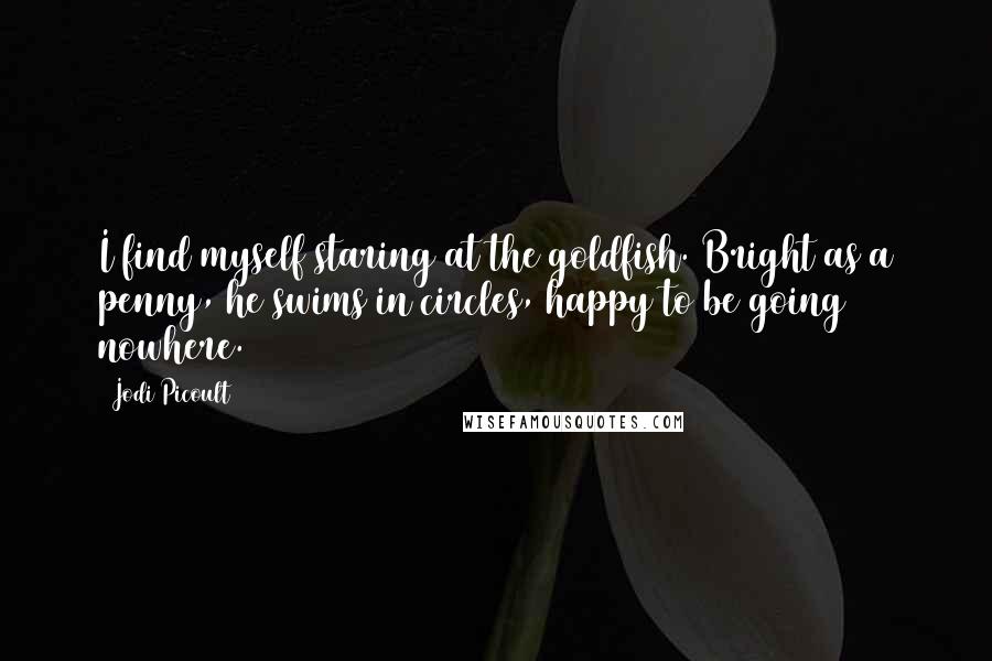 Jodi Picoult Quotes: I find myself staring at the goldfish. Bright as a penny, he swims in circles, happy to be going nowhere.