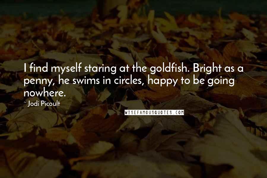 Jodi Picoult Quotes: I find myself staring at the goldfish. Bright as a penny, he swims in circles, happy to be going nowhere.