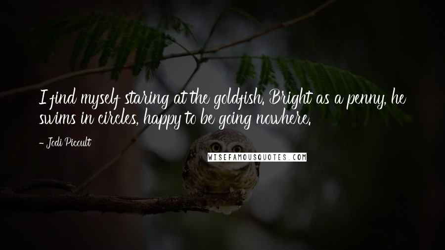 Jodi Picoult Quotes: I find myself staring at the goldfish. Bright as a penny, he swims in circles, happy to be going nowhere.