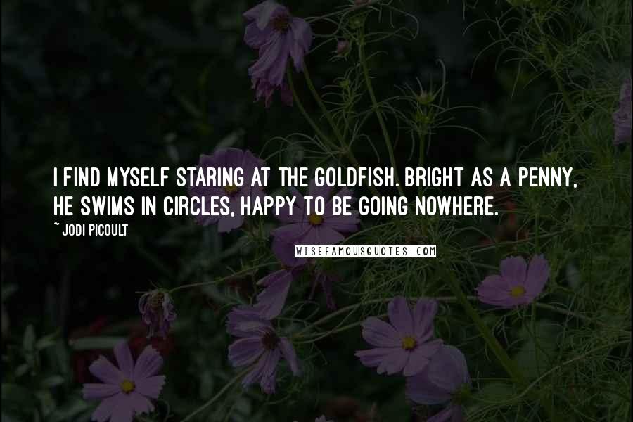 Jodi Picoult Quotes: I find myself staring at the goldfish. Bright as a penny, he swims in circles, happy to be going nowhere.