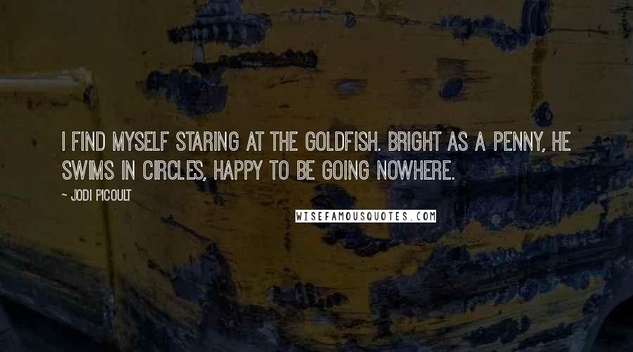 Jodi Picoult Quotes: I find myself staring at the goldfish. Bright as a penny, he swims in circles, happy to be going nowhere.