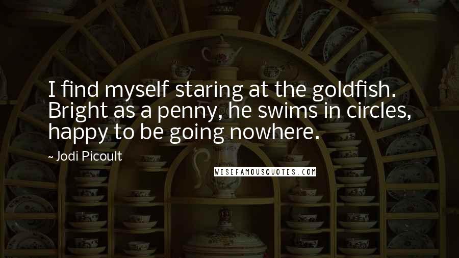 Jodi Picoult Quotes: I find myself staring at the goldfish. Bright as a penny, he swims in circles, happy to be going nowhere.