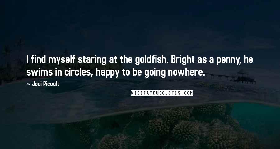 Jodi Picoult Quotes: I find myself staring at the goldfish. Bright as a penny, he swims in circles, happy to be going nowhere.