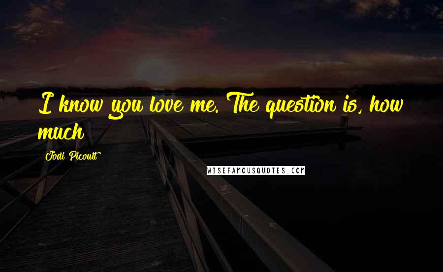 Jodi Picoult Quotes: I know you love me. The question is, how much?