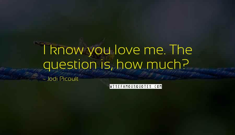 Jodi Picoult Quotes: I know you love me. The question is, how much?