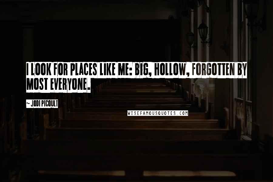 Jodi Picoult Quotes: I look for places like me: big, hollow, forgotten by most everyone.