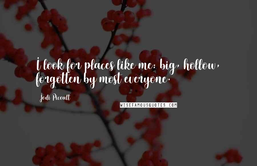 Jodi Picoult Quotes: I look for places like me: big, hollow, forgotten by most everyone.