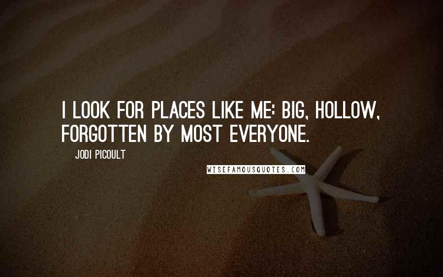 Jodi Picoult Quotes: I look for places like me: big, hollow, forgotten by most everyone.
