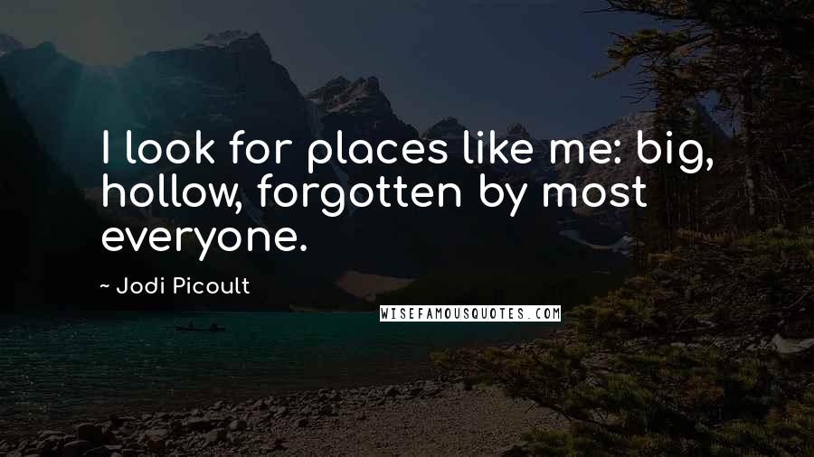 Jodi Picoult Quotes: I look for places like me: big, hollow, forgotten by most everyone.