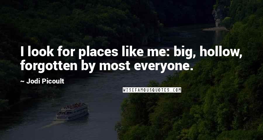 Jodi Picoult Quotes: I look for places like me: big, hollow, forgotten by most everyone.