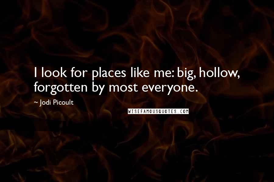 Jodi Picoult Quotes: I look for places like me: big, hollow, forgotten by most everyone.
