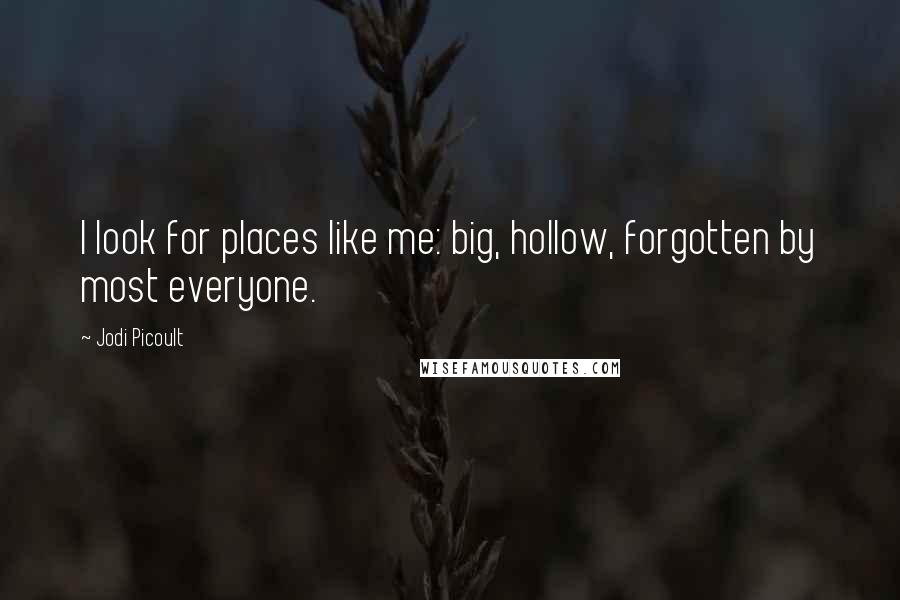 Jodi Picoult Quotes: I look for places like me: big, hollow, forgotten by most everyone.