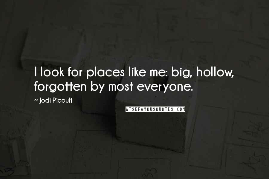 Jodi Picoult Quotes: I look for places like me: big, hollow, forgotten by most everyone.