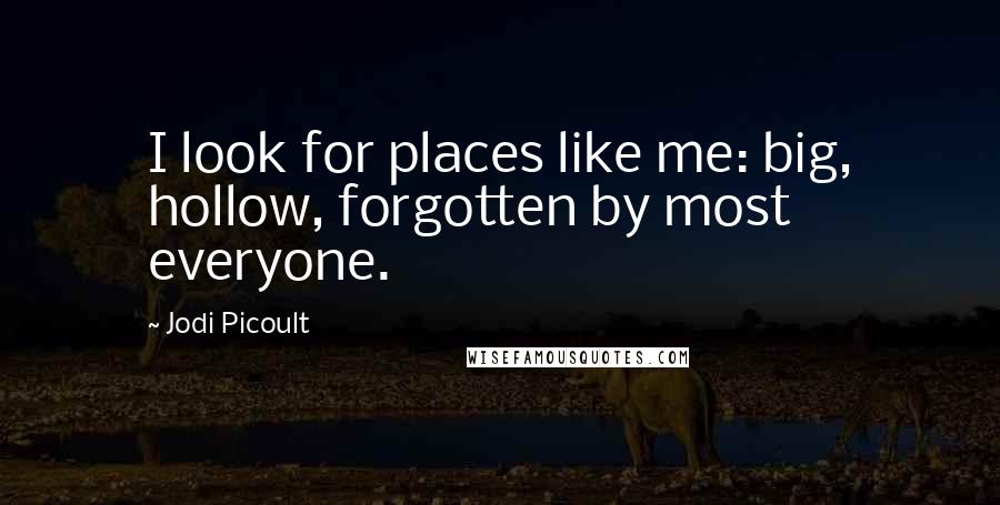 Jodi Picoult Quotes: I look for places like me: big, hollow, forgotten by most everyone.