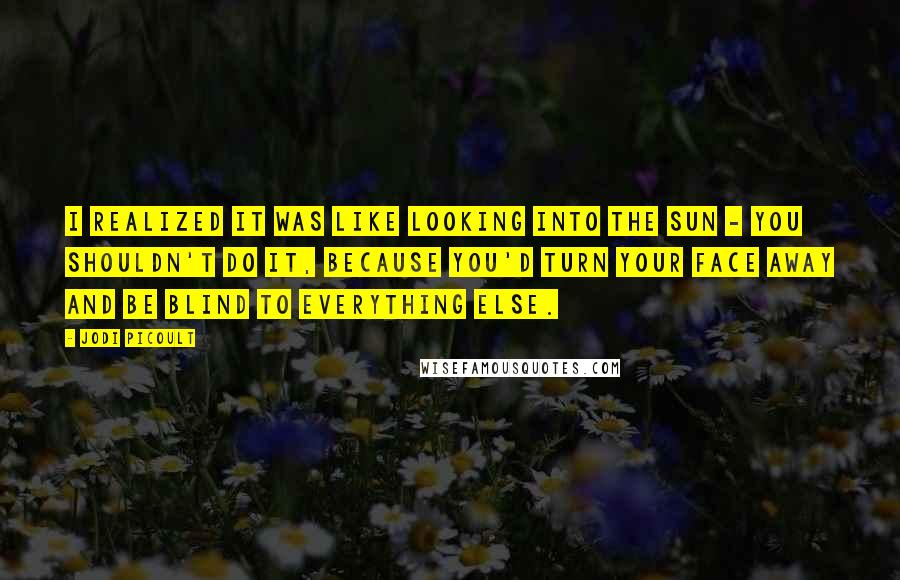 Jodi Picoult Quotes: I realized it was like looking into the sun - you shouldn't do it, because you'd turn your face away and be blind to everything else.