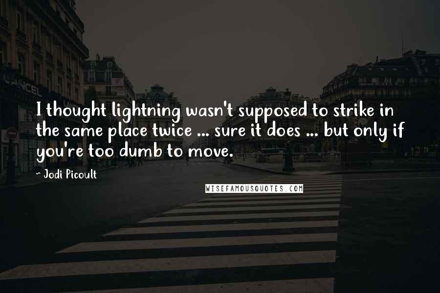 Jodi Picoult Quotes: I thought lightning wasn't supposed to strike in the same place twice ... sure it does ... but only if you're too dumb to move.