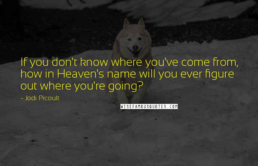 Jodi Picoult Quotes: If you don't know where you've come from, how in Heaven's name will you ever figure out where you're going?