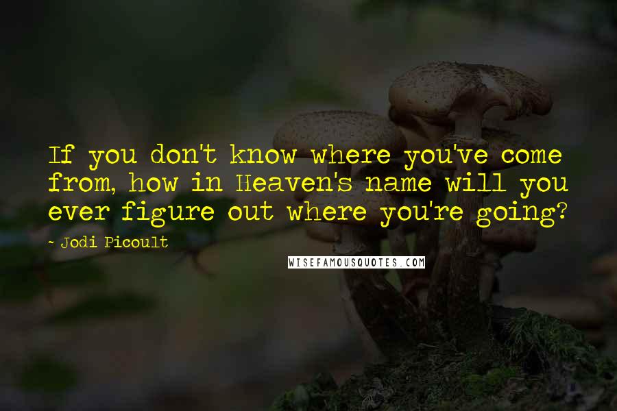 Jodi Picoult Quotes: If you don't know where you've come from, how in Heaven's name will you ever figure out where you're going?