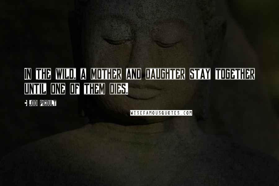 Jodi Picoult Quotes: In the wild, a mother and daughter stay together until one of them dies.