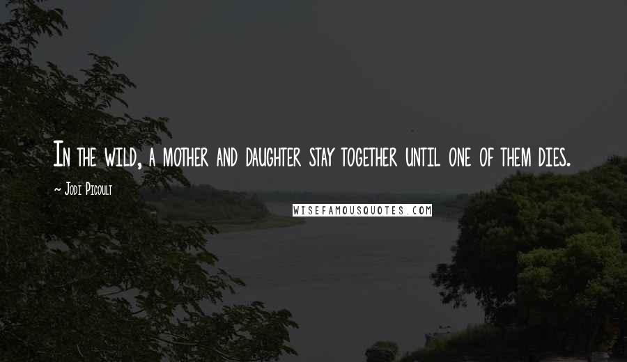 Jodi Picoult Quotes: In the wild, a mother and daughter stay together until one of them dies.