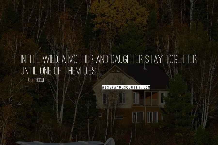 Jodi Picoult Quotes: In the wild, a mother and daughter stay together until one of them dies.