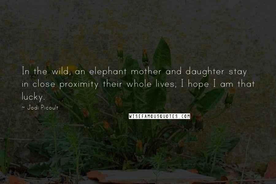 Jodi Picoult Quotes: In the wild, an elephant mother and daughter stay in close proximity their whole lives; I hope I am that lucky.