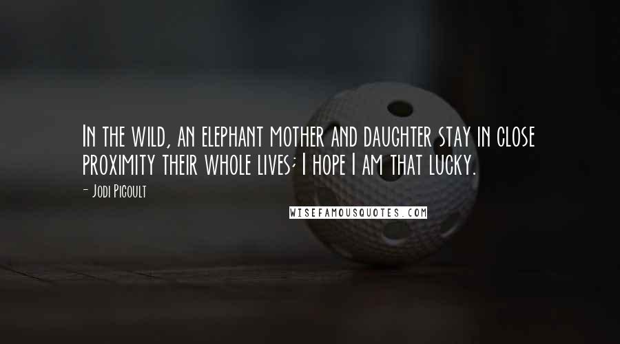 Jodi Picoult Quotes: In the wild, an elephant mother and daughter stay in close proximity their whole lives; I hope I am that lucky.