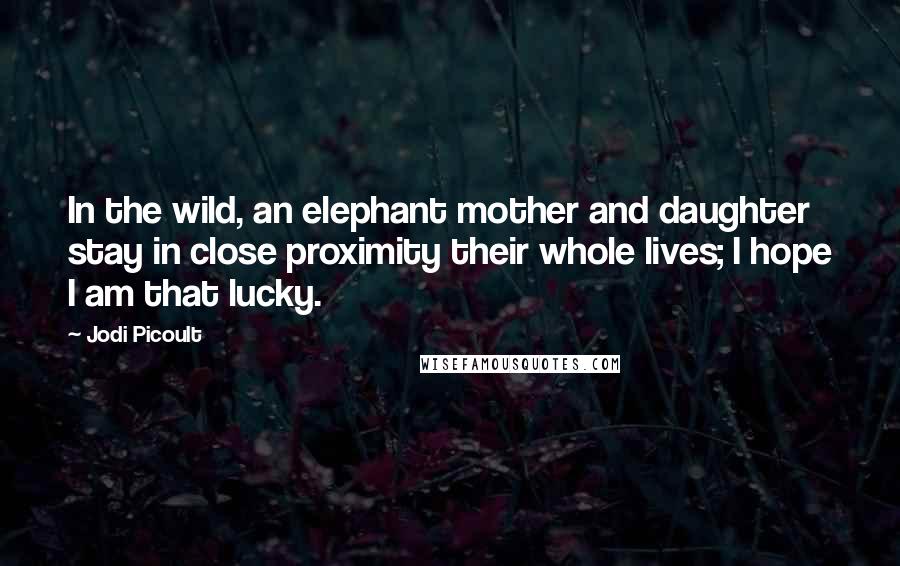 Jodi Picoult Quotes: In the wild, an elephant mother and daughter stay in close proximity their whole lives; I hope I am that lucky.
