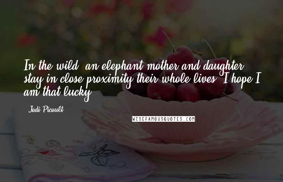 Jodi Picoult Quotes: In the wild, an elephant mother and daughter stay in close proximity their whole lives; I hope I am that lucky.