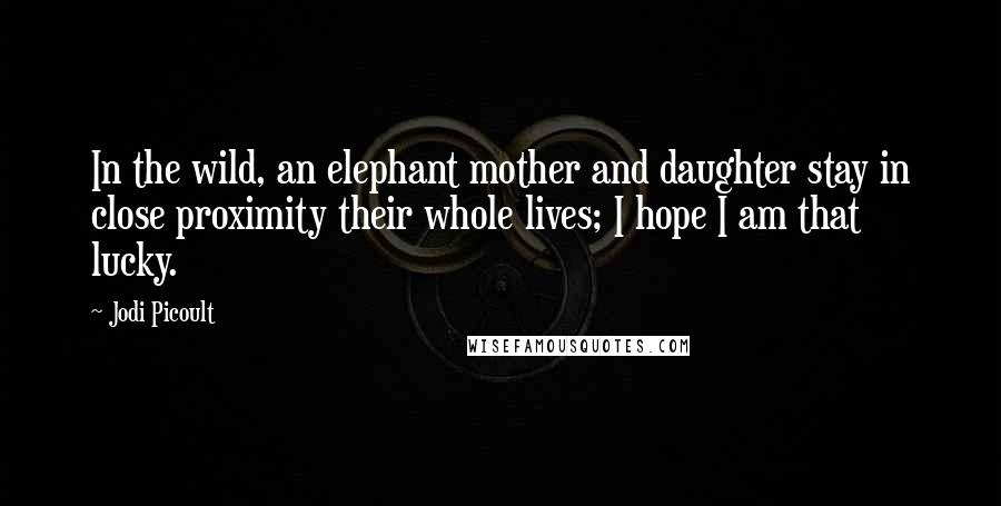 Jodi Picoult Quotes: In the wild, an elephant mother and daughter stay in close proximity their whole lives; I hope I am that lucky.