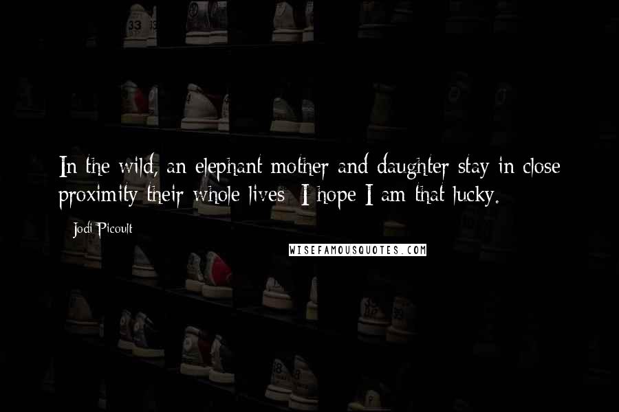 Jodi Picoult Quotes: In the wild, an elephant mother and daughter stay in close proximity their whole lives; I hope I am that lucky.