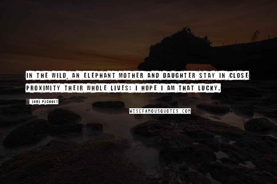 Jodi Picoult Quotes: In the wild, an elephant mother and daughter stay in close proximity their whole lives; I hope I am that lucky.