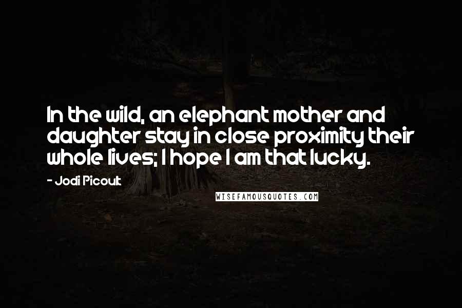 Jodi Picoult Quotes: In the wild, an elephant mother and daughter stay in close proximity their whole lives; I hope I am that lucky.