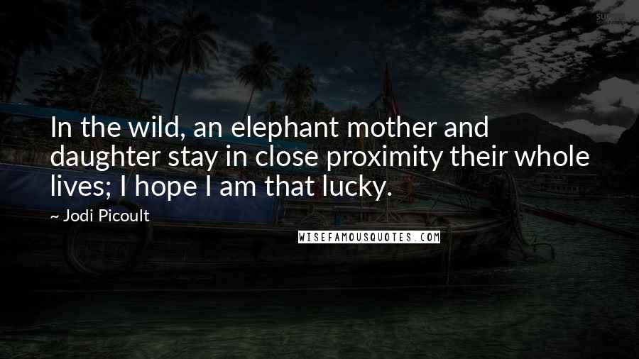 Jodi Picoult Quotes: In the wild, an elephant mother and daughter stay in close proximity their whole lives; I hope I am that lucky.